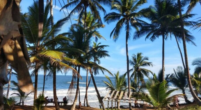 STF invalida lei da Bahia que permitia supressão de áreas de vegetação nativa