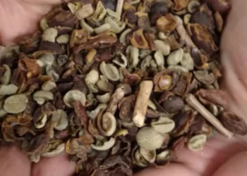 Governo retira três marcas de café torrado do mercado por risco à saúde