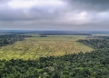 Europa exclui Brasil do nível baixo de desmatamento