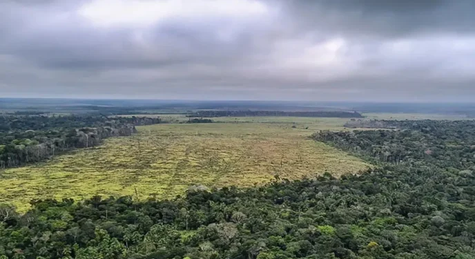Europa exclui Brasil do nível baixo de desmatamento