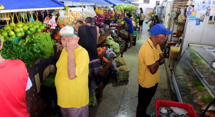 Prefeitura de Salvador abre pregões presenciais para permissionários de boxes em mercados