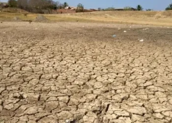 Governo baiano decreta situação de emergência em 12 municípios