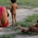 Depois de recorde histórico diminui número de mortes de Yanomamis