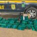 PRF e PC prendem 4 suspeitos e apreende 132 kg de drogas e fuzil no interior baiano