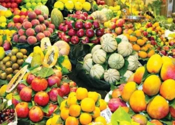 Consórcio Nordeste articula com governo federal reação a taxação