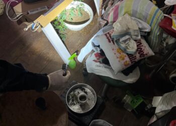 Operação da PF e MP combate internacional tráfico de armas e drogas