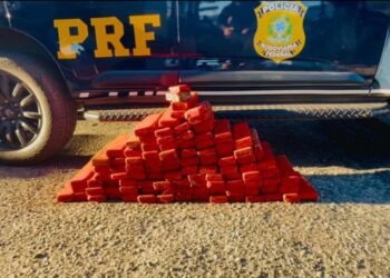 PRF apreende maconha e cloridrato de cocaína ao fiscalizar ônibus na Bahia