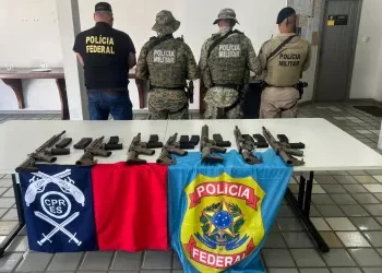 Operação apreende sete fuzis na zona rural da cidade de cidade baiana