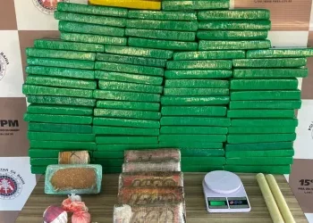 Mais de 80kg de entorpecentes são apreendidos pela PM baiana