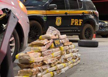 PRF apreende mais de 50 kg de drogas no interior baiano