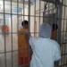 Surto de catapora suspende visitas em Cadeia Pública baiana