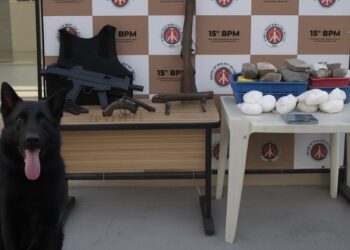 PM encontra 4 armas de fogo e 14kg de entorpecentes no interior baiano