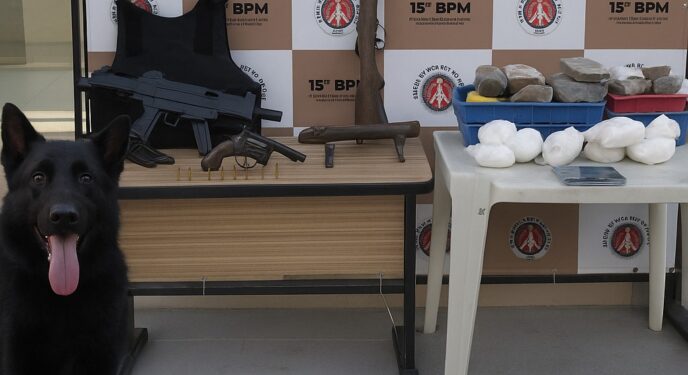 PM encontra 4 armas de fogo e 14kg de entorpecentes no interior baiano