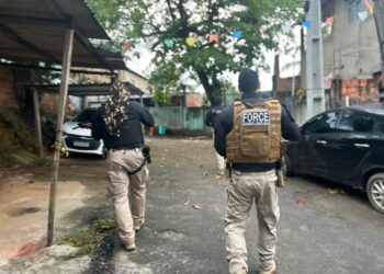 Operação prende 8 pessoas e desarticula rede criminosa de grilagem de terras na Bahia