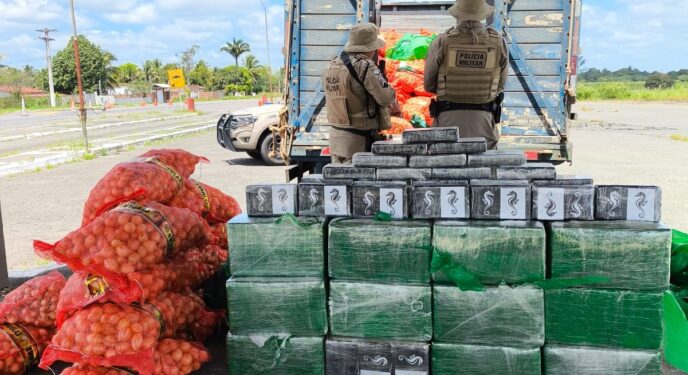 Batalhão Rodoviário da PM apreende mais de 500kg de cocaína na Bahia