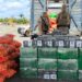 Batalhão Rodoviário da PM apreende mais de 500kg de cocaína na Bahia