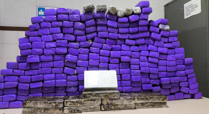 PR Estadual apreendeu van com 257 tabletes de maconha e 10 de cocaína na Bahia