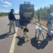 PRF recolhe 59 animais soltos nas rodovias federais na BA, AL e PE