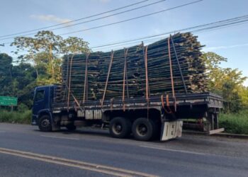 PRF flagra transporte irregular de bambu e alerta para riscos de cargas mal amarradas