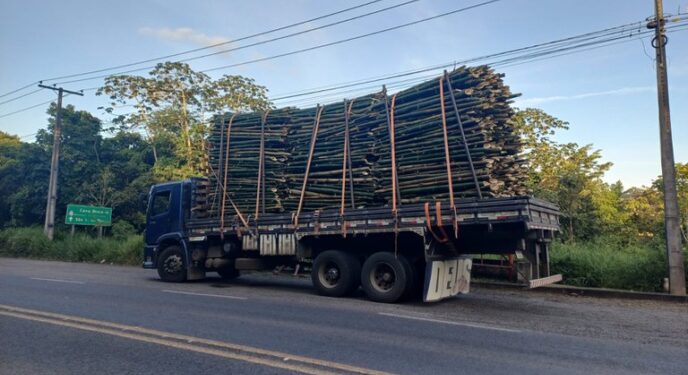 PRF flagra transporte irregular de bambu e alerta para riscos de cargas mal amarradas