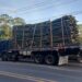 PRF flagra transporte irregular de bambu e alerta para riscos de cargas mal amarradas