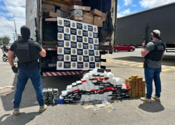 Polícia Civil baiana apreende 250 quilos de drogas; 2 suspeitos presos