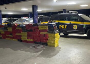 Motorista é preso com 1,7 tonelada de maconha na Bahia