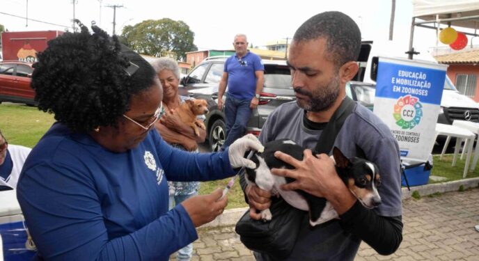 Salvador: Vacinação antirrábica alcança mais de 310 mil animais