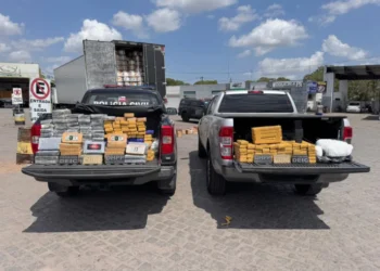 Polícia baiana prende motorista e apreende 200 kg de drogas do CV