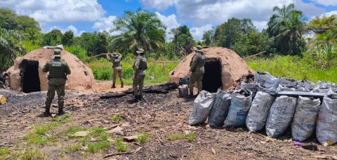 PM apreende mais de uma tonelada de carvão ilegal na Bahia