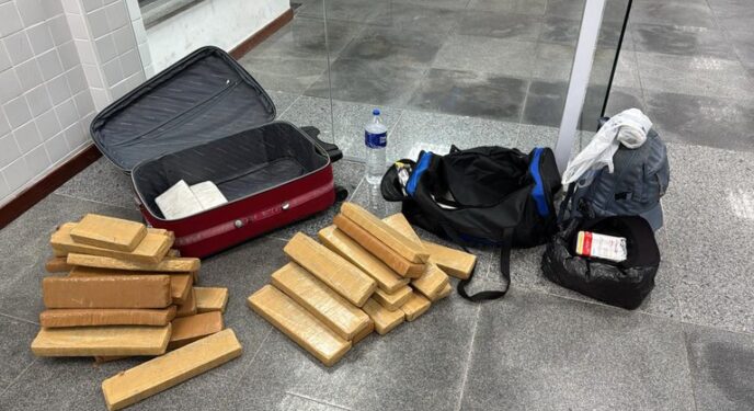 Cães da PRF descobrem quase 35 kg de cocaína e maconha em ônibus na Bahia