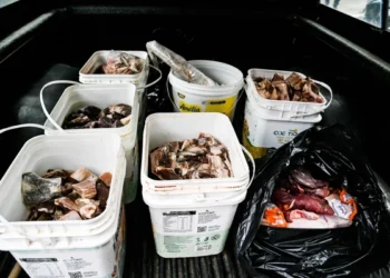 Vigilância apreende 430 kg de alimentos impróprios para consumo em cidade baiana