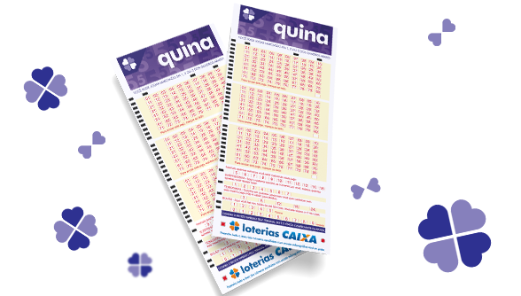 Quina tem prêmio hoje R$ 11,5 milhões