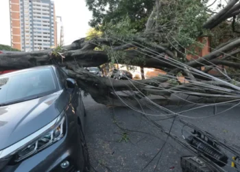 São Paulo registra um dos maiores vendáveis da história