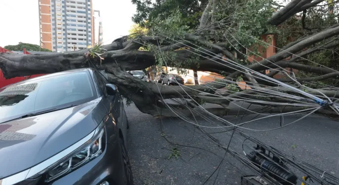 São Paulo registra um dos maiores vendáveis da história