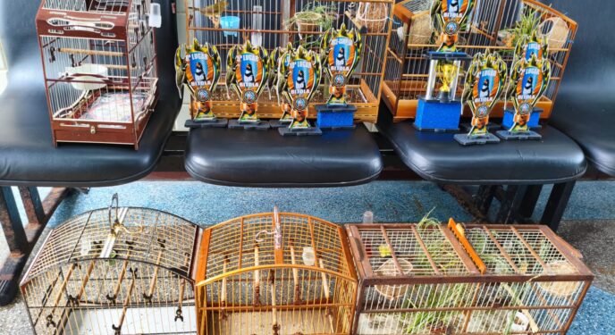 PM prende 3 suspeitos e resgata 6 aves silvestres na Bahia