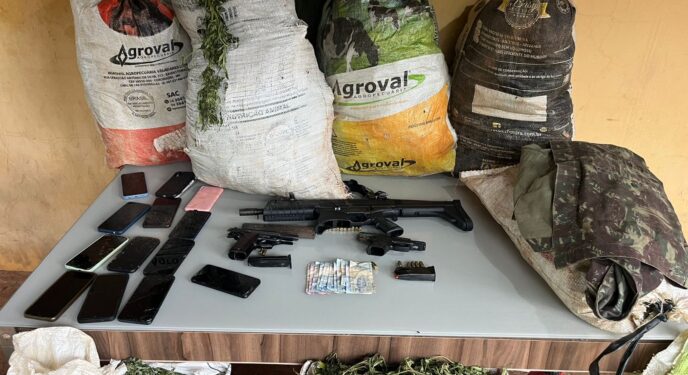 PM encontra 3 toneladas de maconha e 200 mil pés da erva erradicados