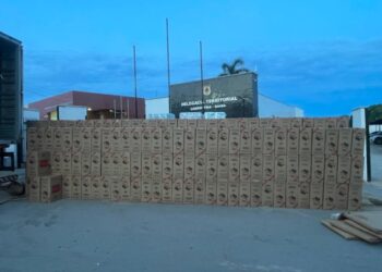 PRF apreende 380 mil maços de cigarros contrabandeados na Bahia