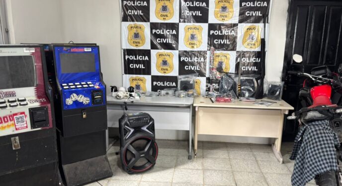 Operação prende 4 suspeitos e apreende armas, drogas e animais silvestres