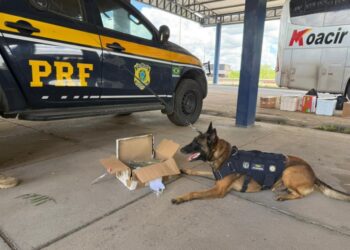 PRF apreende drogas, eletrônicos e cosméticos em ônibus interestadual na Bahia