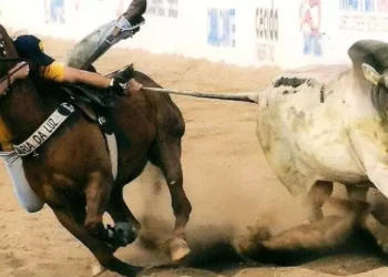 STF mantém as vaquejadas mas com condições