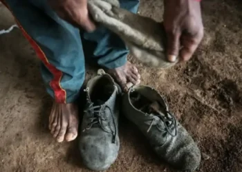 Amado Batista e BYD são incluídos em lista de trabalho escravo