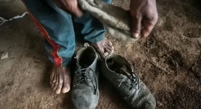 Amado Batista e BYD são incluídos em lista de trabalho escravo