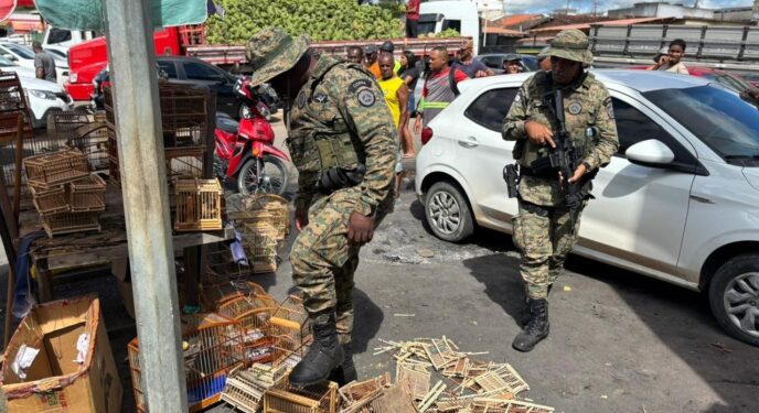 PM resgata 65 animais silvestres e detém 5 suspeitos em cidades baianas