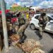 PM resgata 65 animais silvestres e detém 5 suspeitos em cidades baianas