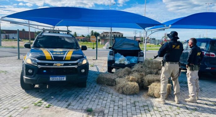 PRF apreende 85 kg de drogas escondidos sob carga no interior baiano