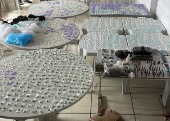PM descobre refinaria do tráfico no interior baiano