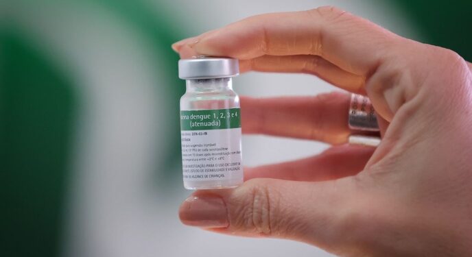 Governo suspende vacina contra dengue após mortes suspeitas
