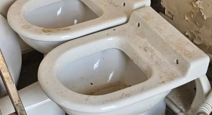 Homem é preso após invadir obra de delegacia e furtar vaso sanitário na Bahia