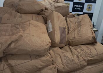 PC baiana recupera mais de 2,8 toneladas de pó de cacau subtraídas de caminhão